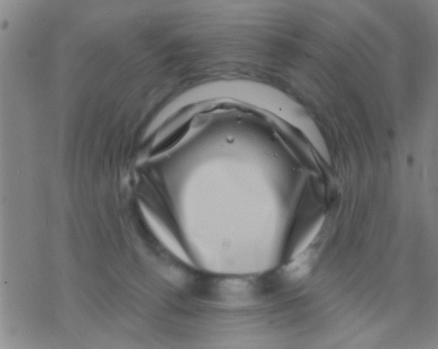 X0000075900176200610151825