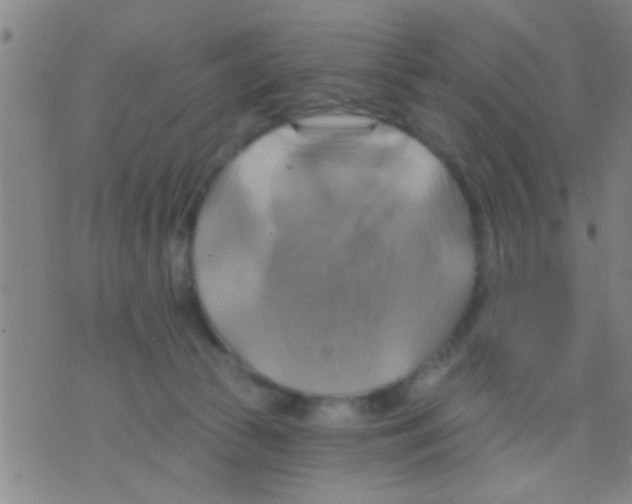 X0000075900177200610151825