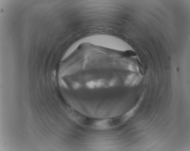 X0000075900178200610151825