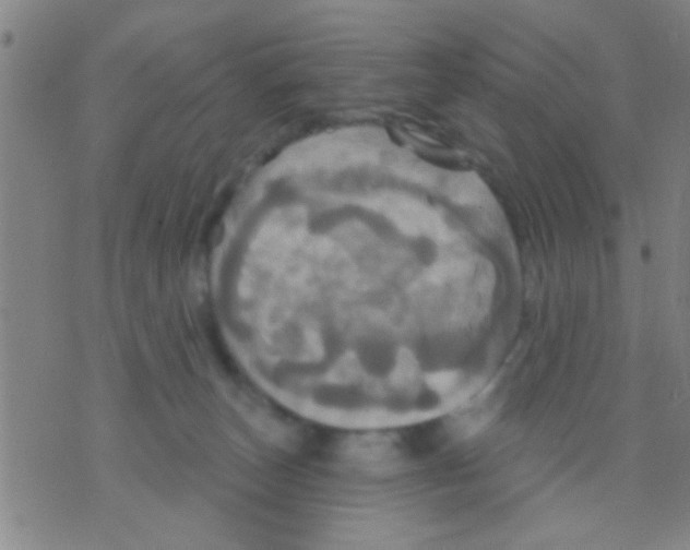 X0000075900179200610151825