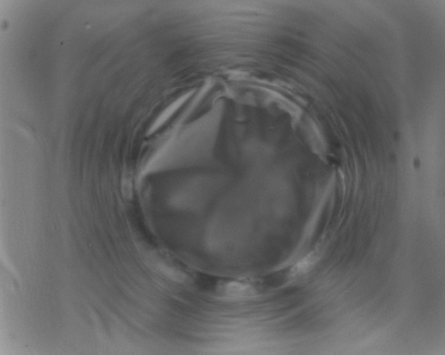 X0000075900180200610151825