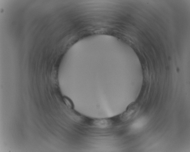 X0000075900181200610151825