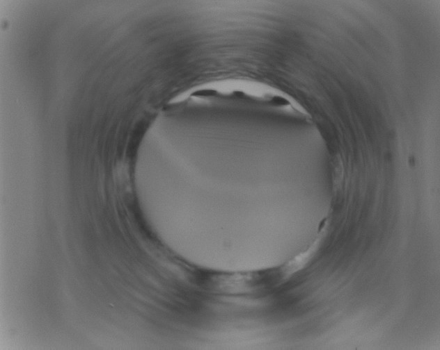 X0000075900182200610151825