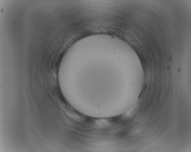 X0000075900183200610151825