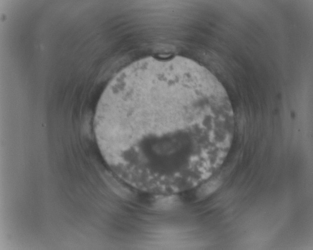 X0000075900185200610151825