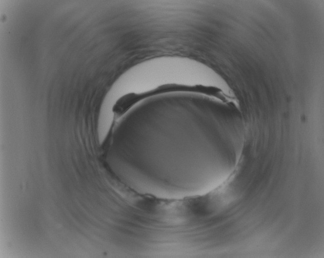 X0000075900186200610151825