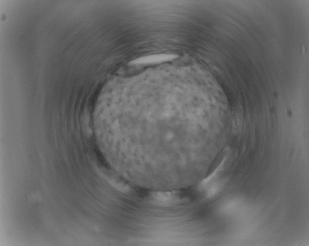 X0000075900187200610151825