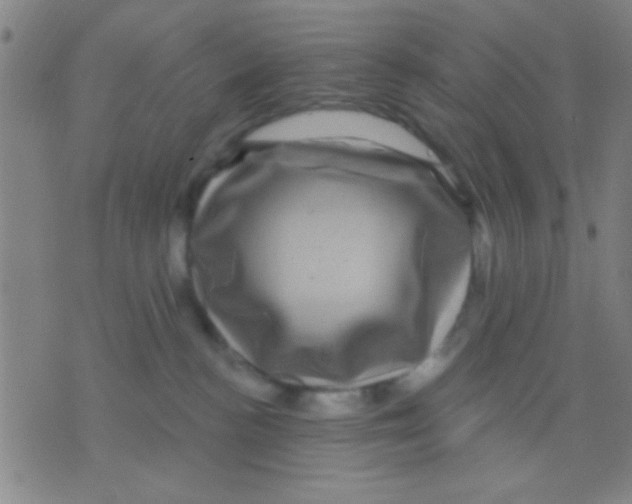 X0000075900188200610151825