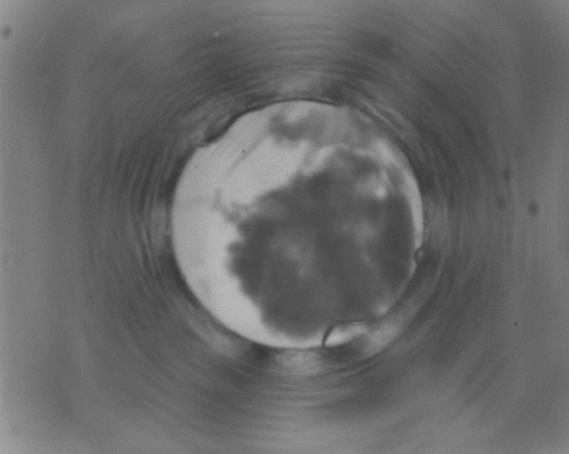 X0000075900189200610151825