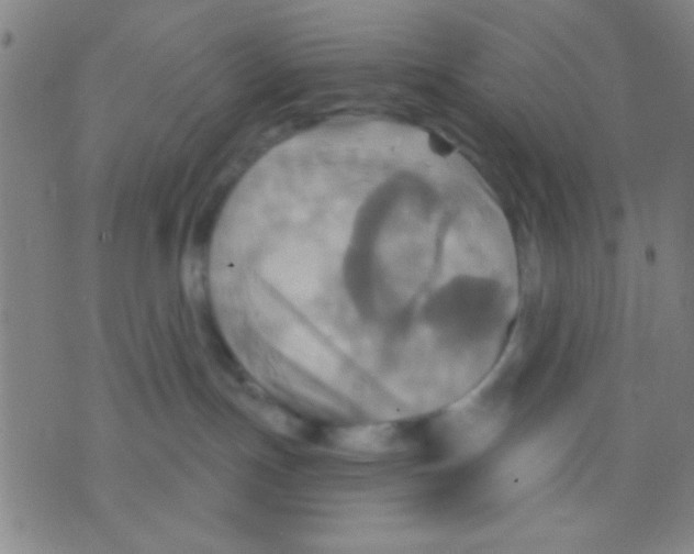 X0000075900191200610151825