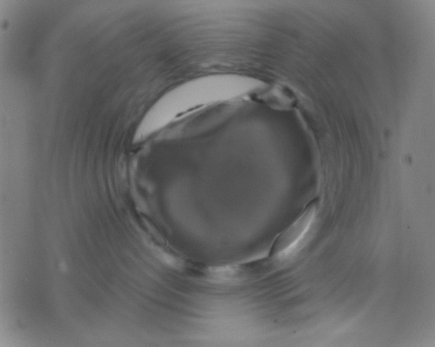 X0000075900192200610151825