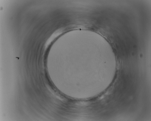 X0000075900198200610151824