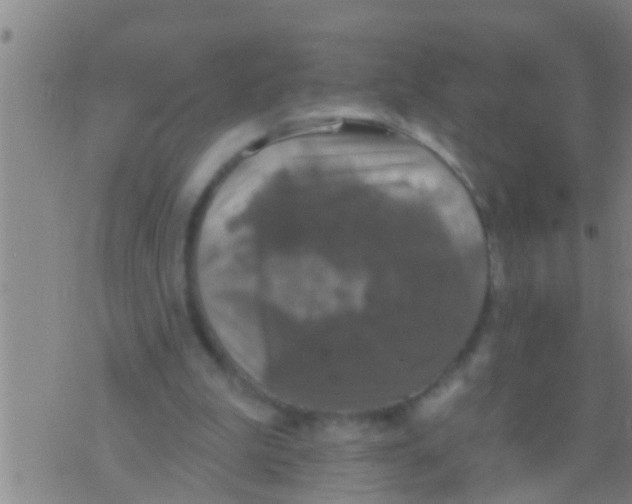 X0000075900199200610151824