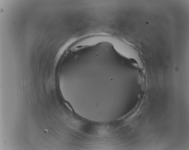 X0000075900200200610151824