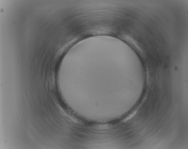 X0000075900202200610151824