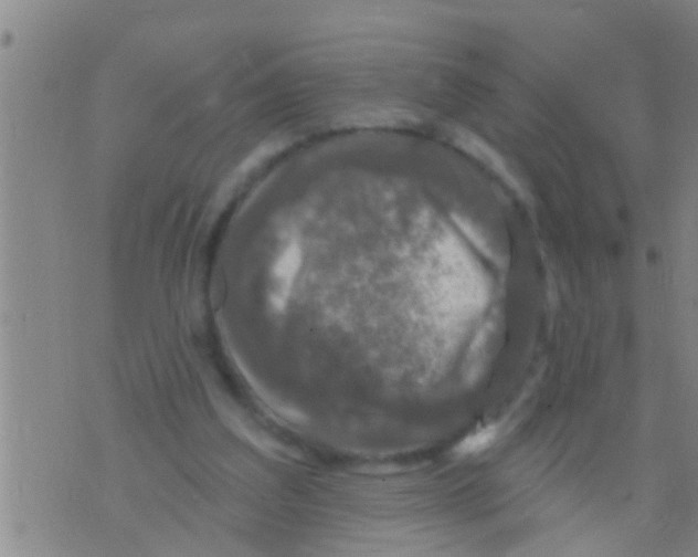 X0000075900203200610151824