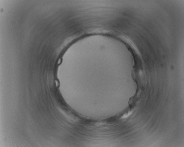 X0000075900204200610151824