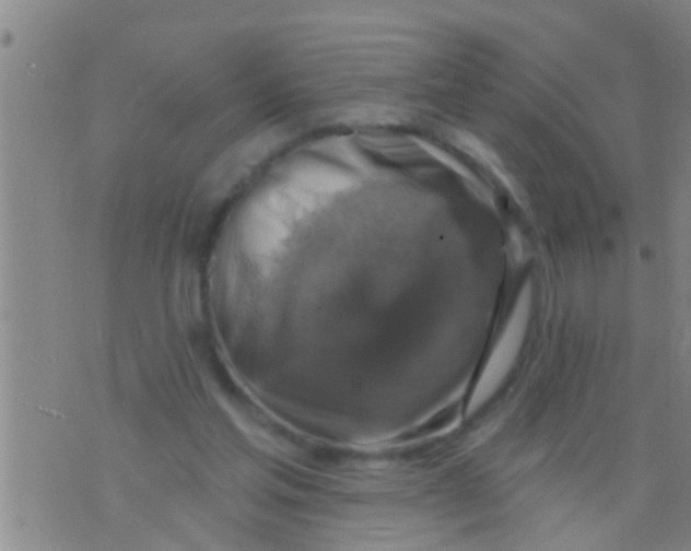 X0000075900205200610151824