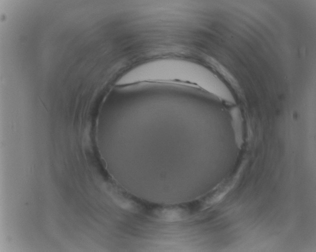 X0000075900209200610151824