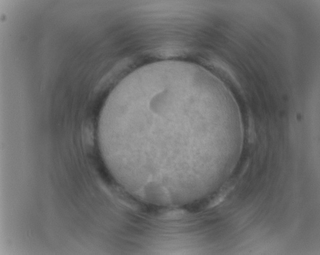 X0000075900210200610151824