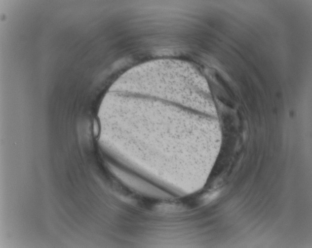 X0000075900211200610151824