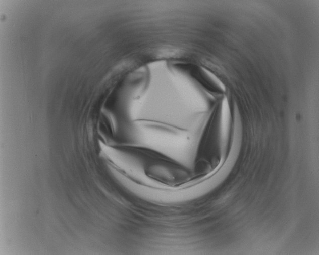 X0000075900215200610151824