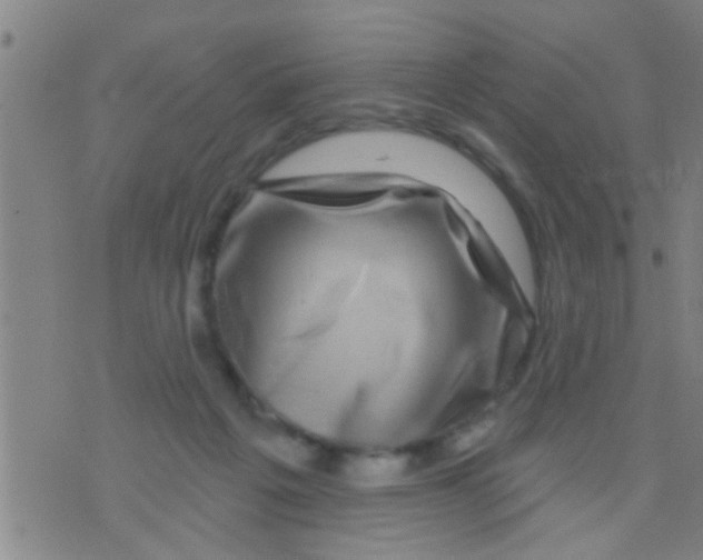 X0000075900217200610151824