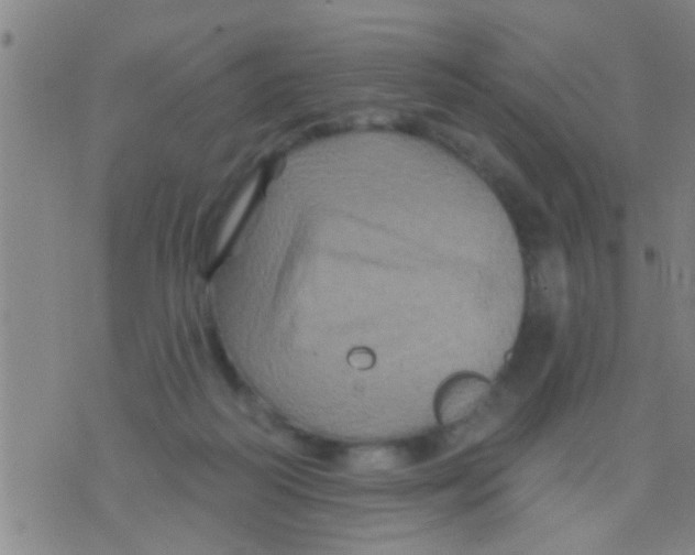 X0000075900218200610151824