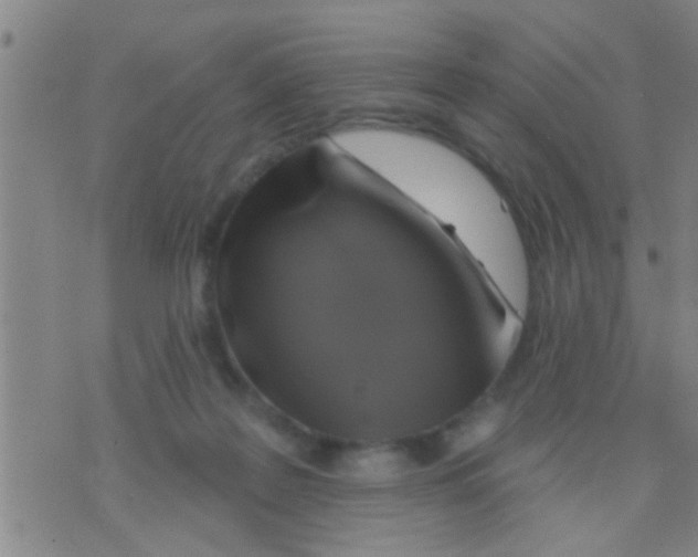 X0000075900219200610151824