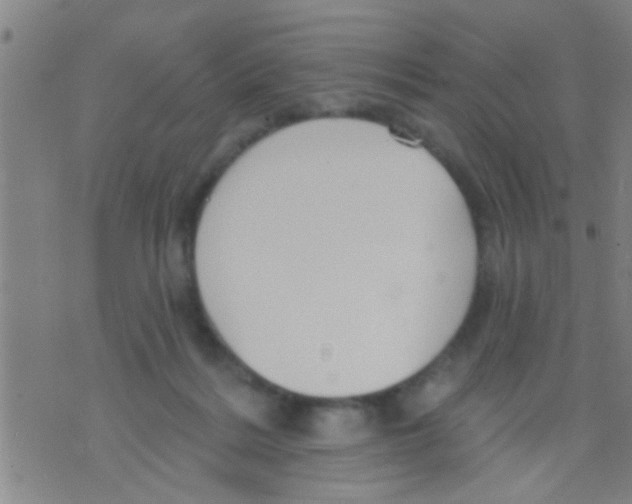 X0000075900220200610151824