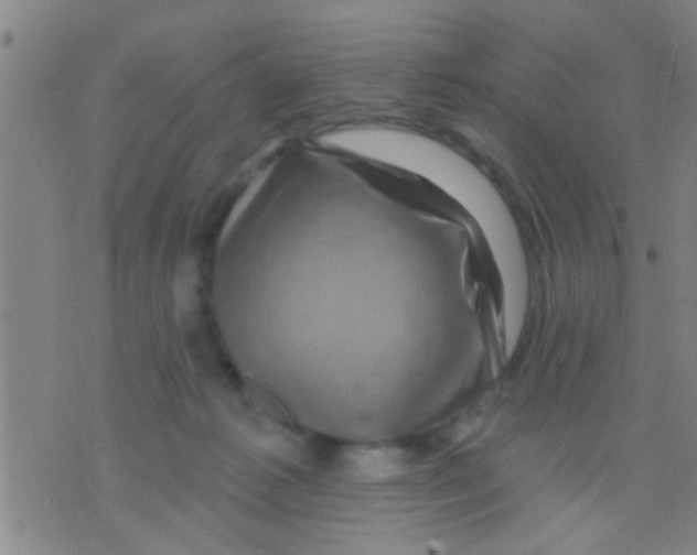 X0000075900221200610151824