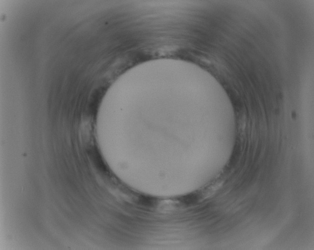 X0000075900222200610151824