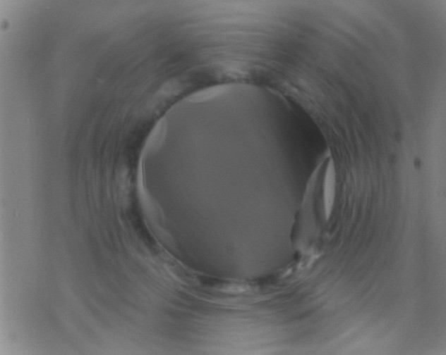 X0000075900223200610151824