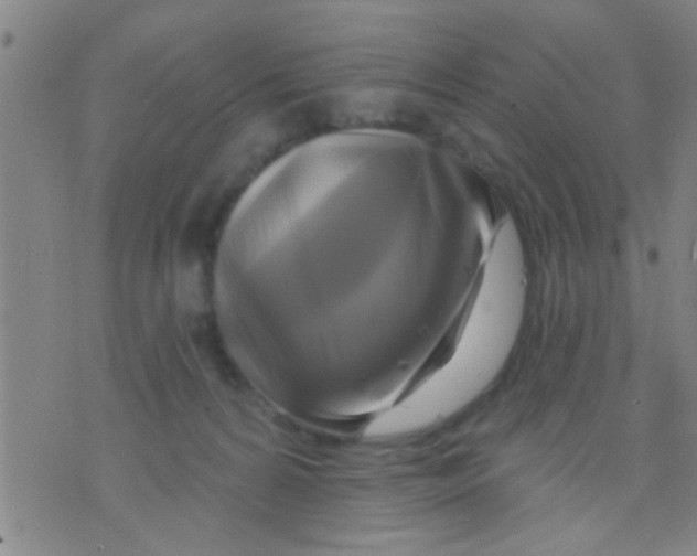 X0000075900224200610151824