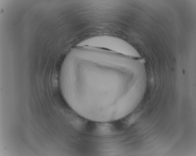 X0000075900226200610151824