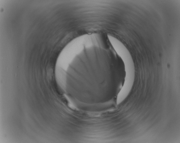 X0000075900227200610151824