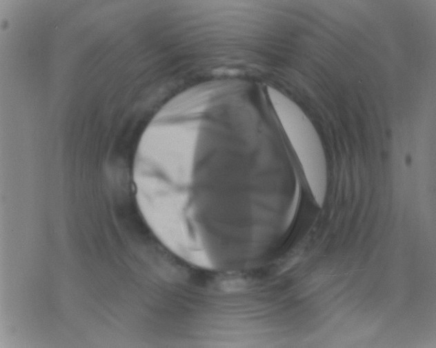 X0000075900228200610151824