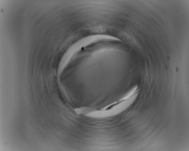 X0000075900229200610151824