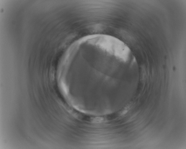 X0000075900230200610151824