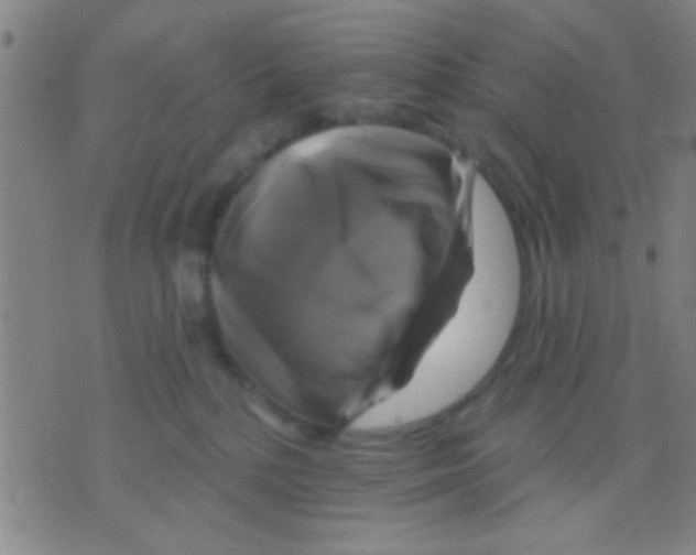 X0000075900232200610151824