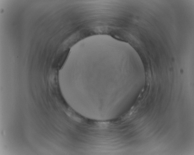 X0000075900233200610151824