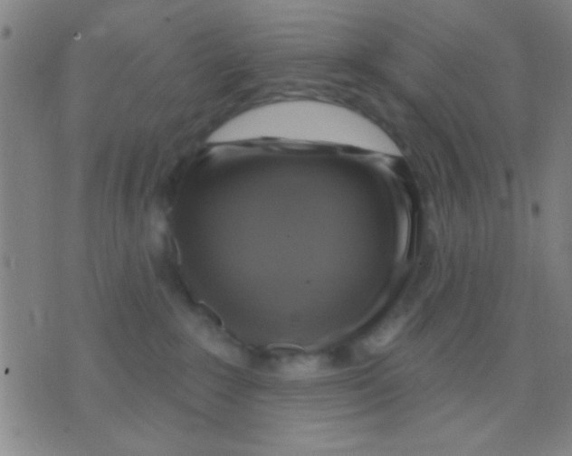 X0000075900235200610151824