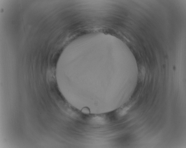 X0000075900236200610151824