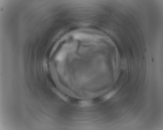 X0000075900238200610151824