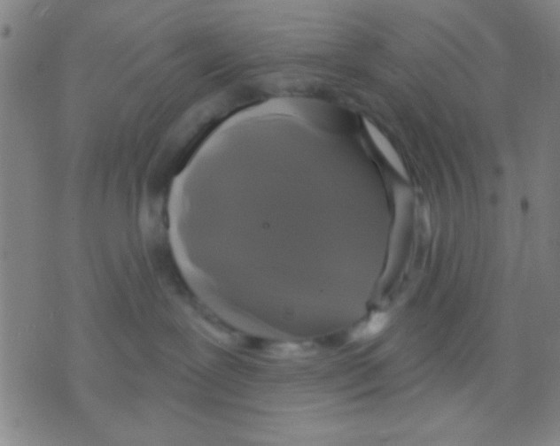 X0000075900239200610151824