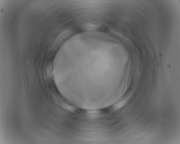 X0000075900240200610151824