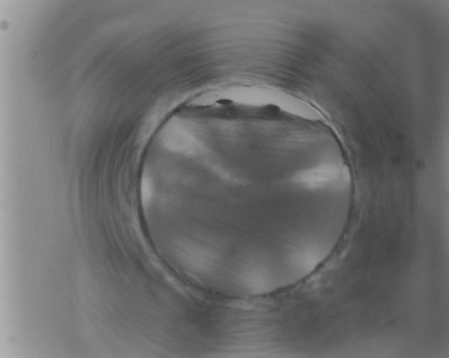 X0000075900241200610151823