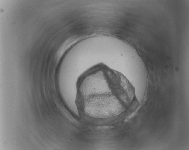 X0000075900242200610151823