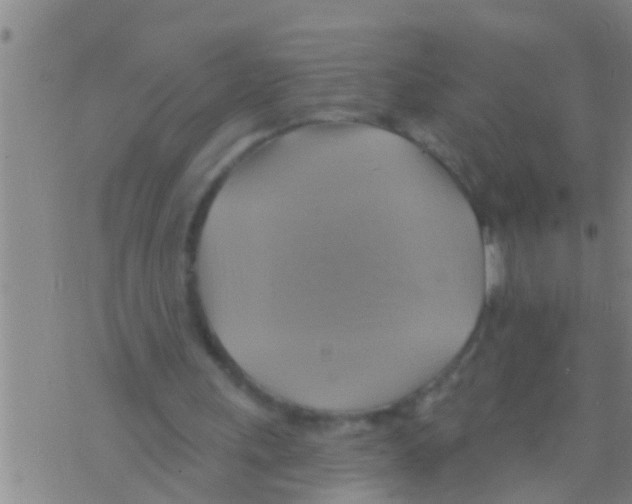 X0000075900243200610151823