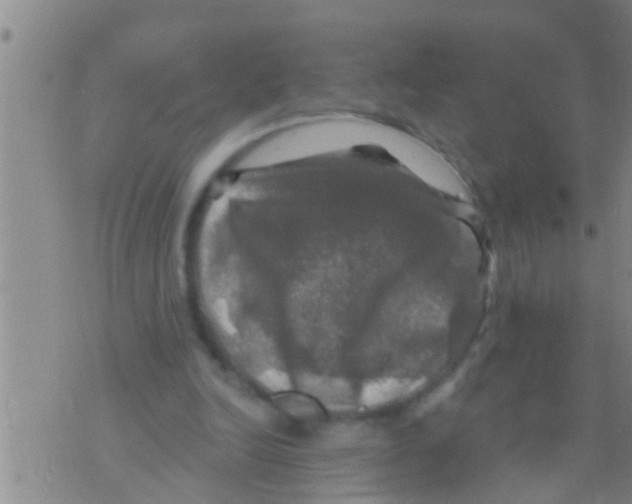 X0000075900246200610151823